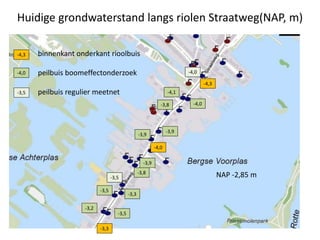 Huidige grondwaterstand langs riolen Straatweg(NAP, m)
-3,2
-3,5
-3,5
-3,3
-4,0
-3,5
-3,8
-3,9
-3,9
-3,9
-3,8
-4,1
-4,0
-3,5
-4,0
NAP -2,85 m
-3,3
-4,0
-4,3 binnenkant onderkant rioolbuis
peilbuis boomeffectonderzoek
peilbuis regulier meetnet
-4,3
 