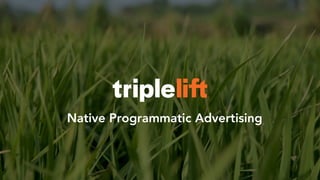 Native Programmatic Advertising
 