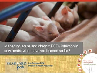 Managing acute and chronic PEDv infection in
sow herds: what have we learned so far?
Luc Dufresne DVM
Director of Health Assurance
 