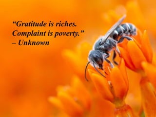 “Gratitude is riches.
Complaint is poverty.”
– Unknown
 