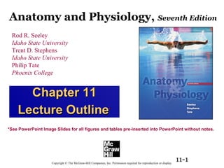 Anatomy and Physiology, Seventh Edition 
CChhaapptteerr 1111 
LLeeccttuurree OOuuttlliinnee** 
*See PowerPoint Image Slides for all figures and tables pre-inserted into PowerPoint without notes. 
11-1 
Rod R. Seeley 
Idaho State University 
Trent D. Stephens 
Idaho State University 
Philip Tate 
Phoenix College 
Copyright © The McGraw-Hill Companies, Inc. Permission required for reproduction or display. 
 