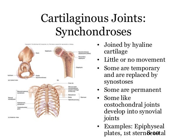 150 ch8 joints