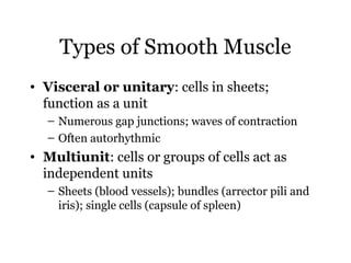 150 ch9 muscle | PPT