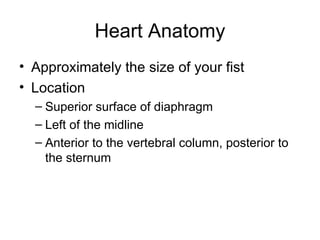 Heart Anatomy ,[object Object],[object Object],[object Object],[object Object],[object Object]