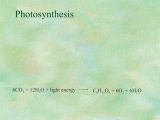 Photosynthesis




6CO2 + 12H2O + light energy   C6H12O6 + 6O2 + 6H2O
 