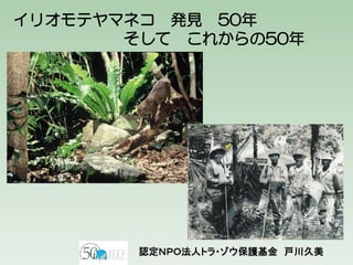 イリオモテヤマネコ 発見 50年
そして これからの50年
認定ＮＰＯ法人トラ・ゾウ保護基金 戸川久美
 