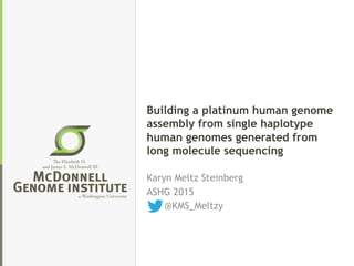 Building a platinum human genome
assembly from single haplotype
human genomes generated from
long molecule sequencing
Karyn Meltz Steinberg
ASHG 2015
@KMS_Meltzy
 
