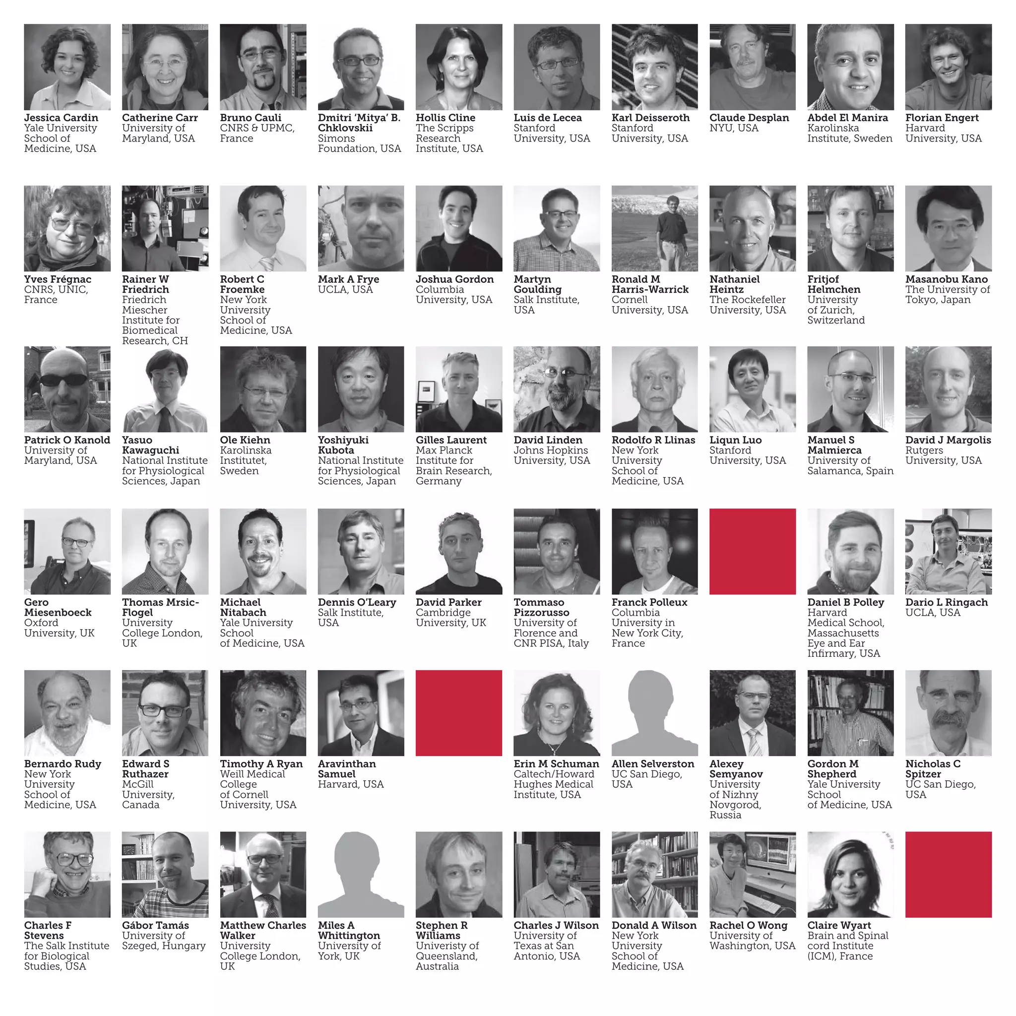 Jessica Cardin
Yale University
School of
Medicine, USA
Catherine Carr
University of
Maryland, USA
Bruno Cauli
CNRS & UPMC,
France
Dmitri ‘Mitya’ B.
Chklovskii
Simons
Foundation, USA
Hollis Cline
The Scripps
Research
Institute, USA
Luis de Lecea
Stanford
University, USA
Karl Deisseroth
Stanford
University, USA
Claude Desplan
NYU, USA
Abdel El Manira
Karolinska
Institute, Sweden
Florian Engert
Harvard
University, USA
Yves Frégnac
CNRS, UNIC,
France
Rainer W
Friedrich
Friedrich
Miescher
Institute for
Biomedical
Research, CH
Robert C
Froemke
New York
University
School of
Medicine, USA
Mark A Frye
UCLA, USA
Ronald M
Harris-Warrick
Cornell
University, USA
Nathaniel
Heintz
The Rockefeller
University, USA
Fritjof
Helmchen
University
of Zurich,
Switzerland
Masanobu Kano
The University of
Tokyo, Japan
Martyn
Goulding
Salk Institute,
USA
Joshua Gordon
Columbia
University, USA
Patrick O Kanold
University of
Maryland, USA
Yasuo
Kawaguchi
National Institute
for Physiological
Sciences, Japan
Ole Kiehn
Karolinska
Institutet,
Sweden
Yoshiyuki
Kubota
National Institute
for Physiological
Sciences, Japan
Gilles Laurent
Max Planck
Institute for
Brain Research,
Germany
David Linden
Johns Hopkins
University, USA
Rodolfo R Llinas
New York
University
School of
Medicine, USA
Liqun Luo
Stanford
University, USA
Manuel S
Malmierca
University of
Salamanca, Spain
David J Margolis
Rutgers
University, USA
Gero
Miesenboeck
Oxford
University, UK
Thomas Mrsic-
Flogel
University
College London,
UK
Michael
Nitabach
Yale University
School
of Medicine, USA
Dennis O’Leary
Salk Institute,
USA
David Parker
Cambridge
University, UK
Tommaso
Pizzorusso
University of
Florence and
CNR PISA, Italy
Daniel B Polley
Harvard
Medical School,
Massachusetts
Eye and Ear
Infirmary, USA
Franck Polleux
Columbia
University in
New York City,
France
Bernardo Rudy
New York
University
School of
Medicine, USA
Dario L Ringach
UCLA, USA
Edward S
Ruthazer
McGill
University,
Canada
Timothy A Ryan
Weill Medical
College
of Cornell
University, USA
Aravinthan
Samuel
Harvard, USA
Erin M Schuman
Caltech/Howard
Hughes Medical
Institute, USA
Allen Selverston
UC San Diego,
USA
Alexey
Semyanov
University
of Nizhny
Novgorod,
Russia
Gordon M
Shepherd
Yale University
School
of Medicine, USA
Nicholas C
Spitzer
UC San Diego,
USA
Charles F
Stevens
The Salk Institute
for Biological
Studies, USA
Gábor Tamás
University of
Szeged, Hungary
Matthew Charles
Walker
University
College London,
UK
Miles A
Whittington
University of
York, UK
Stephen R
Williams
Univeristy of
Queensland,
Australia
Charles J Wilson
University of
Texas at San
Antonio, USA
Donald A Wilson
New York
University
School of
Medicine, USA
Rachel O Wong
University of
Washington, USA
Claire Wyart
Brain and Spinal
cord Institute
(ICM), France
 