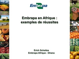 Embrapa en Afrique :
exemples de réussites
Erich Schaitza
Embrapa Afrique - Ghana
 