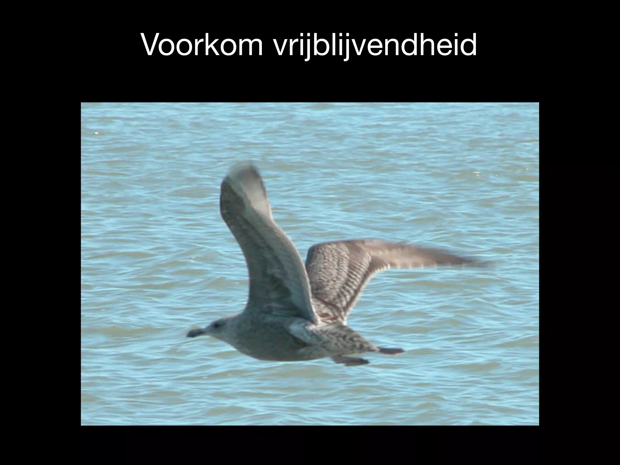 Voorkom vrijblijvendheid
 