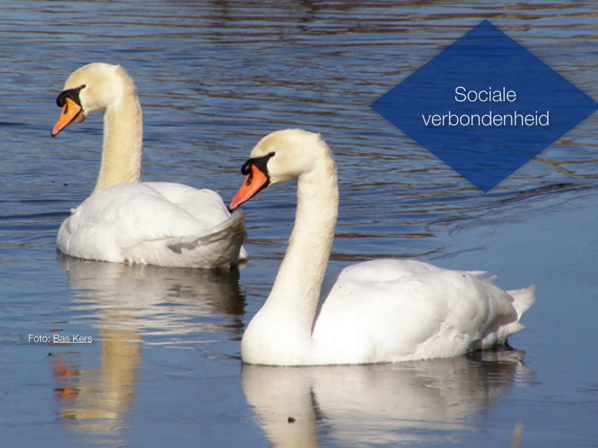 Foto: Bas Kers
Sociale
verbondenheid
 