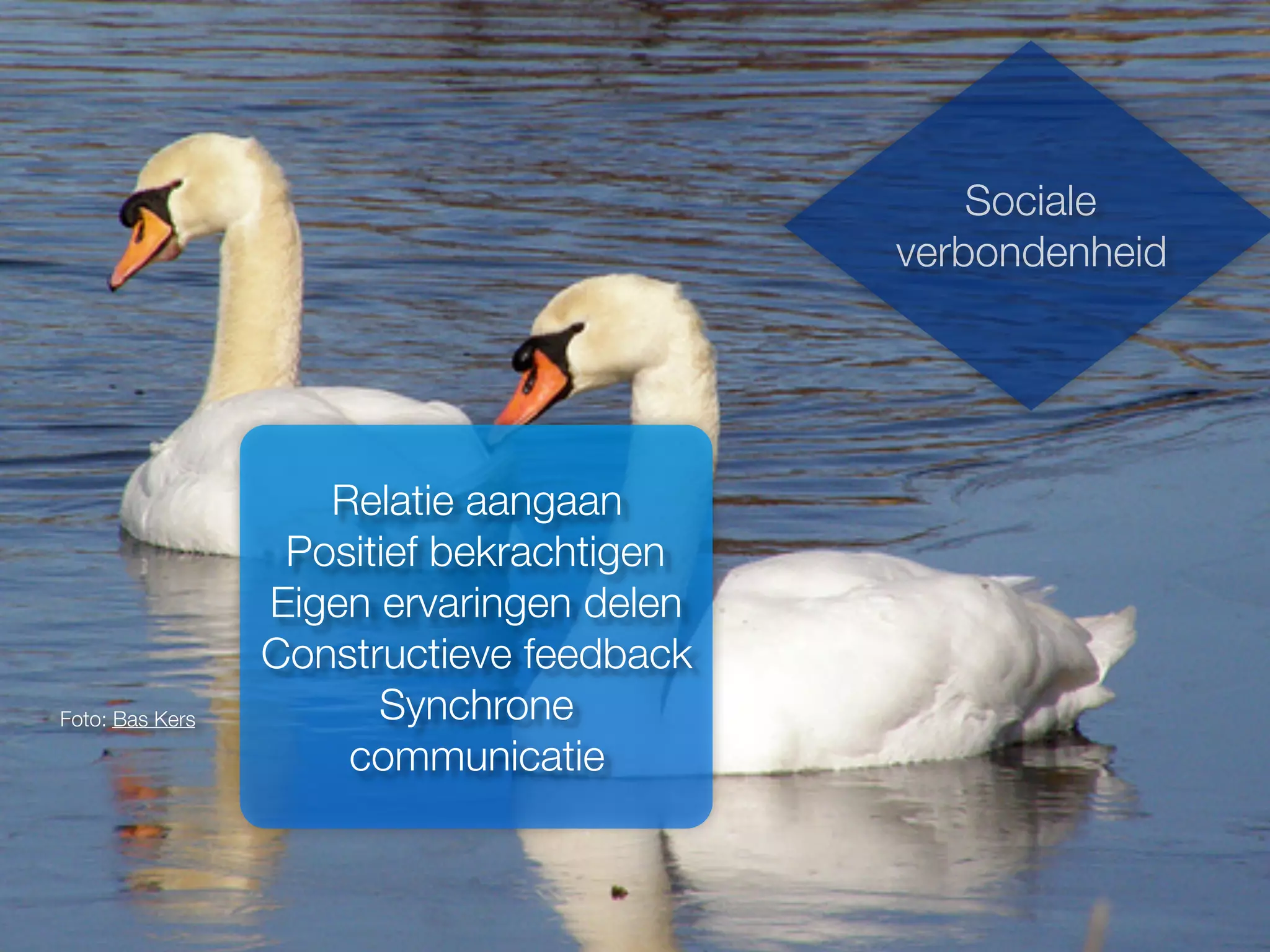 Foto: Bas Kers
Sociale
verbondenheid
Relatie aangaan
Positief bekrachtigen
Eigen ervaringen delen
Constructieve feedback
Synchrone
communicatie
 