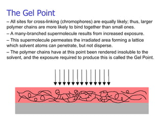 The Gel Point –  All sites for cross-linking (chromophores) are equally likely; thus, larger polymer chains are more likely to bind together than small ones. –  A many-branched supermolecule results from increased exposure. –  This supermolecule permeates the irradiated area forming a lattice which solvent atoms can penetrate, but not disperse. –  The polymer chains have at this point been rendered insoluble to the solvent, and the exposure required to produce this is called the Gel Point. 