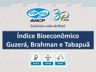 Índice Bioeconômico
Guzerá, Brahman e Tabapuã
 
