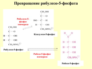 Превращение рибулозо-5-фосфата
Ribose 5-phosphate
isomerase
Рибулозо-5-
фосфат
эпимераза
Рибозо-5-фосфат
изомераза
Ксилулозо-5-фосфат
Рибозо-5-фосфат
Рибулозо-5-фосфат
 