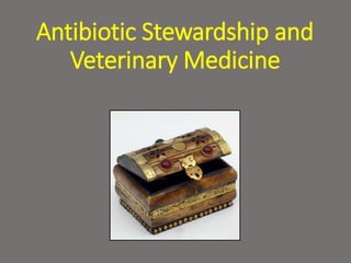 Antibiotic Stewardship and
Veterinary Medicine
 