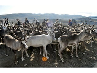 A. scrivetelo alla fine 
tenetelo sotto le due pagine
B. raccontare gli aspetti fondamentali
• cos’è il vostro prodotto?
• chi sono i clienti?
• chi lo fa?
• come sarà il futuro del vostro settore?
Individuare titolo
 