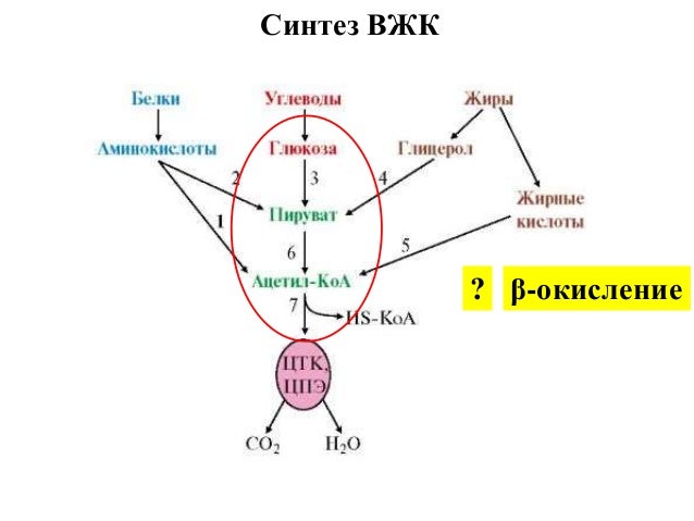 Ао синтез ока