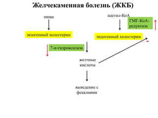 Желчекаменная болезнь (ЖКБ)
экзогенный холестерин эндогенный холестерин
ацетил-КоА
ГМГ-КоА-
редуктаза
пища
желчные
кислоты
-
7-α-гидроксилаза
выведение с
фекалиями
 
