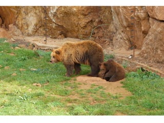 Parque Cabarceno, Cantabria