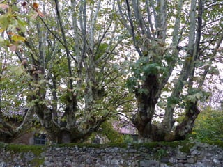 Lierganes, Cantabria