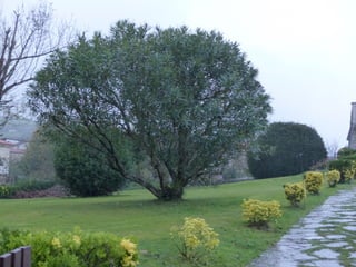 Lierganes, Cantabria