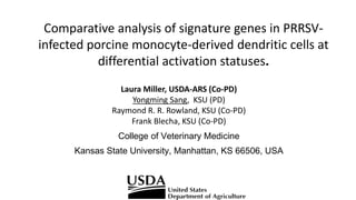 Comparative analysis of signature genes in PRRSV-
infected porcine monocyte-derived dendritic cells at
differential activation statuses.
Laura Miller, USDA-ARS (Co-PD)
Yongming Sang, KSU (PD)
Raymond R. R. Rowland, KSU (Co-PD)
Frank Blecha, KSU (Co-PD)
College of Veterinary Medicine
Kansas State University, Manhattan, KS 66506, USA
 