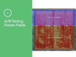 A/B Testing
Potato Fields
!
 