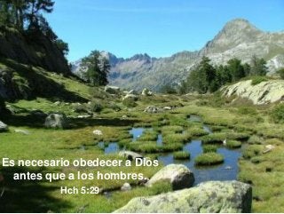 Es necesario obedecer a Dios
antes que a los hombres.
Hch 5:29
19

 