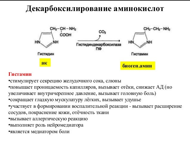 Декарбоксилирование аминокислот реакция. Декарбоксилирование триптофана. Декарбоксилирование орнитина. Декарбоксилирование пропана. Таурин и тирозин совместимость.