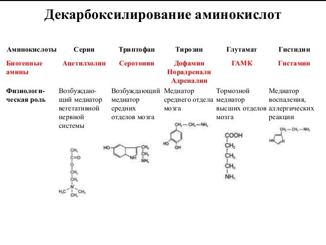 Декарбоксилирования аминокислоты тирозина. Декарбоксилирование аминокислот. Декарбоксилирование триптофана. Образование биогенных Аминов. Декарбоксилирование аминокислот реакция