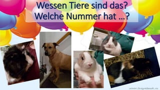 Wessen Tiere sind das?
Welche Nummer hat …?
 