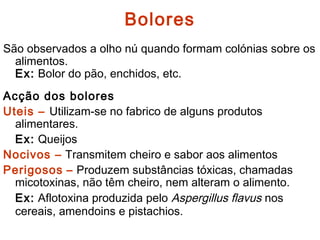 Bolores
São observados a olho nú quando formam colónias sobre os
alimentos.
Ex: Bolor do pão, enchidos, etc.
Acção dos bolores
Uteis – Utilizam-se no fabrico de alguns produtos
alimentares.
Ex: Queijos
Nocivos – Transmitem cheiro e sabor aos alimentos
Perigosos – Produzem substâncias tóxicas, chamadas
micotoxinas, não têm cheiro, nem alteram o alimento.
Ex: Aflotoxina produzida pelo Aspergillus flavus nos
cereais, amendoins e pistachios.
 