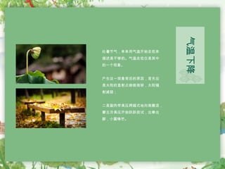 处暑节气，单单用气温开始走低来
描述是不够的。气温走低仅是其中
的一个现象。
产生这一现象背后的原因，首先应
是太阳的直射点继续南移，太阳辐
射减弱；
二是副热带高压跨越式地向南撤退，
蒙古冷高压开始跃跃欲试，出拳出
脚，小露锋芒。
气温下降
 