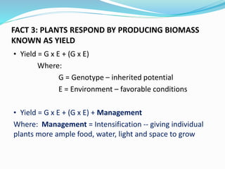 FACT 3: PLANTS RESPOND BY PRODUCING BIOMASS
KNOWN AS YIELD
• Yield = G x E + (G x E)
Where:
G = Genotype – inherited poten...