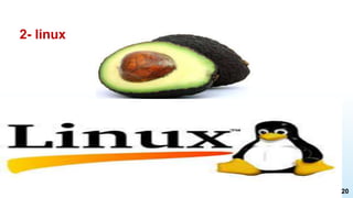 2- linux
20
 
