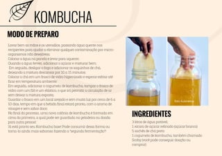 probioticos caseiros