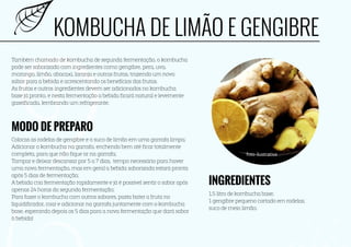 probioticos caseiros