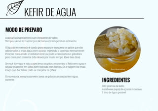 probioticos caseiros