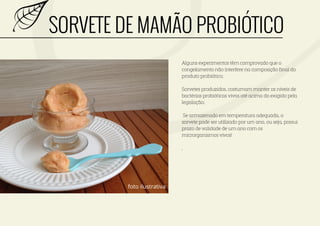 probioticos caseiros