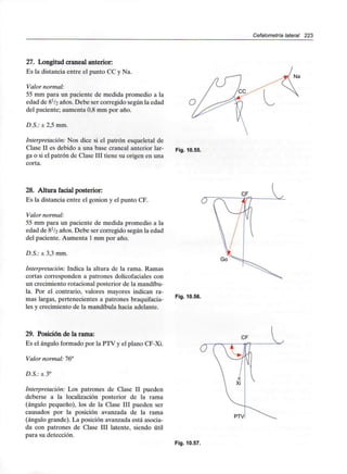Cefalometría lateral 223
27. Longitud craneal anterior:
Es la distancia entre el punto CC y Na.
Valor normal:
55 mm para un paciente de medida promedio a la
edad de 8^/2 años. Debe ser corregido según la edad
del paciente; aumenta 0,8 mm por año.
D.S.: ± 2,5 mm.
Interpretación: Nos dice si el patrón esqueletal de
Clase II es debido a una base craneal anterior lar-
ga o si el patrón de Clase III tiene su origen en una
corta.
Fig. 10.55.
28. Altura facial posterior:
Es la distancia entre el gonion y el punto CF.
Valor normal:
55 mm para un paciente de medida promedio a la
edad de 8V2 años. Debe ser corregido según la edad
del paciente. Aumenta 1mm por año.
D.S.: ± 3,3 mm.
Interpretación: Indica la altura de la rama. Ramas
cortas corresponden a patrones dolicofaciales con
un crecimiento rotacional posterior de la mandíbu-
la. Por el contrario, valores mayores indican ra-
mas largas, pertenecientes a patrones braquifacia-
les y crecimiento de la mandíbula hacia adelante.
Go
Fig. 10.56.
29. Posición de la rama:
Es el ángulo formado por la PTV y el plano CF-Xi.
Valor normal: 76°
D.S.: ± 3°
Interpretación: Los patrones de Clase II pueden
deberse a la localización posterior de la rama
(ángulo pequeño), los de la Clase III pueden ser
causados por la posición avanzada de la rama
(ángulo grande). La posición avanzada está asocia-
da con patrones de Clase III latente, siendo útil
para su detección.
PTV!
Fig. 10.57.
 