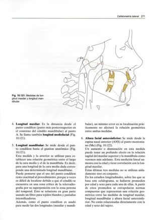 Cefalometría lateral 271
Fig. 10.121: Medidas de lon-
gitud maxilar y longitud man-
dibular.
Gn
4. Longitud maxilar: Es la distancia desde el
punto condilion (punto más posterosuperior en
el contorno del cóndilo mandibular) al punto
A. Se llama también longitud mediofacial (Fig.
10.121).
5. Longitud mandibular: Se mide desde el pun-
to condilion hasta el gnation anatómico (Fig.
10.121).
Esta medida y la anterior se utilizan para es-
tablecer una relación geométrica entre el largo
de la cara media y el de la mandíbula. Es decir,
para una longitud de la cara media dada corres-
ponde una determinada longitud mandibular.
Puede pensarse que el uso del punto condilion
resta exactitud al procedimiento, porque a veces
es difícil de localizar debido a que el cóndilo se
encuentra en una zona crítica de la telerradio-
grafía por su superposición con la zona petrosa
del temporal. Esto se soluciona en gran parte
usando un filtro para tejidos blandos ypantallas
intensificadoras.
Además, como el punto condilion es usado
para medir las dos longitudes (maxilar y mandi-
bular), un mínimo error en su localización prác-
ticamente no afectará la relación geométrica
entre ambas medidas.
6. Altura facial anteroinferior: Se mide desde la
espina nasal anterior (ANS) al punto mentonia-
no (Me) (Fig. 10.122).
Un aumento o disminución en esta medida
puede tener un profundo efecto en la relación
sagital del maxilarsuperior y la mandíbula como
veremos más adelante. Esta medición lineal au-
menta con la edad y tiene correlación con la lon-
gitud maxilar.
Estas últimas tres medidas no se utilizan aisla-
damente sino en conjunto.
En los estudios longitudinales, sobre los que se
basa este cefalograma, se hallaron promedios
por edad y sexo para cada una de ellas. A partir
de estos promedios se extrapolaron normas
compuestas que representan una relación geo-
métrica entre las medidas de longitud maxilar,
longitud mandibular y altura facial anteroinfe-
rior. No están relacionadas directamente con la
edad y sexo del sujeto.
 