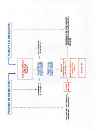 PACIENTE
EN
CRECIMIENTO
PACIENTE
SIN
CRECIMIENTO
CEFALOGRAMA
LATERAL
BÁSICO
TRATAMIENTO
ORTODÓNCICO
PACIENTE
SIN
ALTERACIONES
ESQUELETALES
PACIENTE
CON
ALTERACIONES
ESQUELETALES
TRATAMIENTO
ORTODÓNCICO
•
TRATAMIENTO
ORTOPÉDICO
•
TRATAMIENTO
ORTODÓNCICO
MEDIDAS
COMPLEMENTARIAS
CEF.
COMPLETO
ANÁLISIS
VERTICAL
Y
SAGITAL
DEL
PERFIL
•
TRATAMIENTO
DE
COMPENSACIÓN
"*"•
TRATAMIENTO
ORTODÓNCICO-QUI-
RÚRGICO
McNAMARA
•
-
 