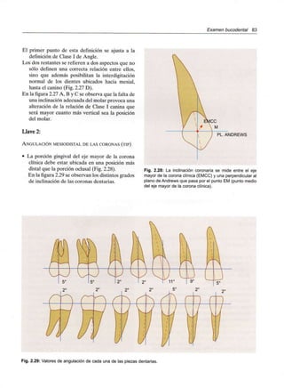 Examen bucodental 83
El primer punto de esta definición se ajusta a la
definición de Clase I de Angle.
Los dos restantes se refieren a dos aspectos que no
sólo definen una correcta relación entre ellos,
sino que además posibilitan la interdigitación
normal de los dientes ubicados hacia mesial,
hasta el canino (Fig. 2.27 D).
En la figura 2.27 A, B y C se observa que la falta de
una inclinación adecuada del molar provoca una
alteración de la relación de Clase I canina que
será mayor cuanto más vertical sea la posición
del molar.
Llave 2:
ANGULACIÓN MESIODISTAL DE LAS CORONAS (TIP)
• La porción gingival del eje mayor de la corona
clínica debe estar ubicada en una posición más
distal que la porción oclusal (Fig. 2.28).
En la figura 2.29 se observan los distintos grados
de inclinación de las coronas dentarias.
PL. ANDREWS
Fig. 2.28: La inclinación coronaria se mide entre el eje
mayor de la corona clínica (EMCC) y una perpendicular al
plano de Andrews que pasa por el punto EM (punto medio
del eje mayor de la corona clínica).
Fig. 2.29: Valores de angulación de cada una de las piezas dentarias.
 