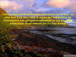 L'Antarctique est le continent le plus au sud sur la terre, au
pôle Sud. Il est situé dans la région de l'Antarctique de
l'hémisphère sud, presque entièrement au sud du cercle
antarctique, et est entouré par l'océan Austral.
 