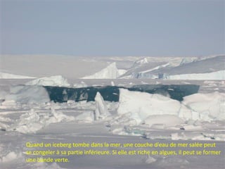 Quand un iceberg tombe dans la mer, une couche d'eau de mer salée peut
se congeler à sa partie inférieure. Si elle est riche en algues, il peut se former
une bande verte.
 