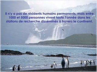Il n'y a pas de résidents humains permanents, mais entre
1000 et 5000 personnes vivent toute l'année dans les
stations de recherche disséminés à travers le continent.
 