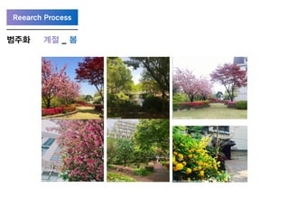 Reearch Process
계절 _ 봄범주화
 