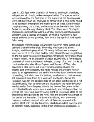 pass is 1300 feet lower than that of Runang, and ought therefore,
independent of climate, to be more productive. The species which
were observed for the first time on the summit of the Runang pass
were not more than six, and were all forms which I have since found
to be abundant throughout the higher parts of Tibet. A little willow,
creeping among the stones, and scarcely more luxuriant than Salix
herbacea, was the only shrubby plant. The others were Oxytropis
chiliophylla, Biebersteinia odora, a Draba, Lamium rhomboideum of
Bentham, and a species of rhubarb, of which I found only a few
leaves and one or two panicles, from which the ripe fruit had nearly
fallen away.
The descent from the pass to Sungnam was even more barren and
desolate than the other side. The valley was open and almost
straight, and the slope gradual. Till nearly half-way not a drop of
water occurred on the road, and for miles almost the only vegetation
on the hill-sides was an erect branched Polygonum, never more than
a foot in height. At an elevation of about 10,000 feet, a few deodars
occurred, all miserably stunted in height, though often with trunks of
considerable diameter. Gerard's pine, and the ash of Tibet, also
appeared a little lower, but in very small numbers. During the
greater part of the descent, the white houses of Sungnam were in
sight, to all appearance at the end of the valley down which we were
proceeding; but when near the bottom, we discovered that we were
still separated from them by a wide and level plain, that of the
Ruskalan river. On the opposite side of this plain, on the side of a hill
just sufficiently high to terminate the vista down the valley by which
we descended from the pass, stands the town of Sungnam; while
the cultivated lands, which form a wide belt, scarcely higher than the
level of the river, were entirely out of sight till we arrived close to the
precipitous bank parallel to the river. Here the descent was abrupt to
the bed of the Ruskalan. The bank was alluvial, with enormous
boulders, and was covered with tufts of Ephedra, a remarkable
leafless plant with rod-like branches, which is abundant in every part
of northern Tibet, especially in the driest and hottest exposures. It
 