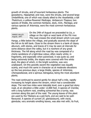 HANGO VALLEY.
August, 1847.
growth of shrubs, and of luxuriant herbaceous plants. The
gooseberry, Hippophaë, and rose, were the shrubs, and several large
Umbelliferæ, one of which was closely allied to the Assafœtida, a tall
Thalictrum, a yellow-flowered Medicago, Verbascum Thapsus, two
species of thistle, the common henbane, dock, mint, Plantago, and
various species of Artemisia, were the most common herbaceous
plants.
On the 24th of August we proceeded to Lio, a
village on the right or west bank of the Piti river.
The road crosses the small stream which runs past
Hango, a little below the village, and gradually ascends the slope of
the hill on its left bank. Close to the stream there is a bank of clayey
alluvium, with stones, and traces of it may be seen at intervals for
some distance down the valley, but it is nowhere of any great
thickness. The hill along which the road lay was composed of a
cherty sandstone of a light-blue colour, often nearly white; in
fragments, and especially when pulverized, it was quite so; and
being extremely brittle, the slopes were covered with fine white
dust, the glare of which, in the bright sunshine, was very
unpleasant. On this gravelly ascent the vegetation was equally
scanty, and much the same in character as at moderate elevations
on the two previous days; a large thistle, species of Artemisia,
Chenopodiaceæ, and a spinous Astragalus, being the most abundant
plants.
The road continued to ascend gently for about half a mile, rapidly
increasing its height above the stream, which had a considerable
slope. The next two miles were tolerably level, over a good but stony
road, at an elevation a little under 12,000 feet. A species of Crambe,
with a long fusiform root, smelling somewhat like a turnip, was
common along this part of the road. The young leaves of this plant
are used by the Tibetans as a pot-herb, and are said to be well-
flavoured. A species of currant (R. glandulosum), with viscid,
glandular, very aromatic-smelling leaves, was also met with; its fruit,
 